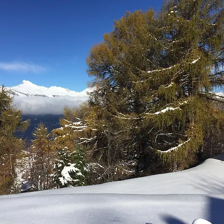 La Foret 5 - Access - Centre Station * Nendaz